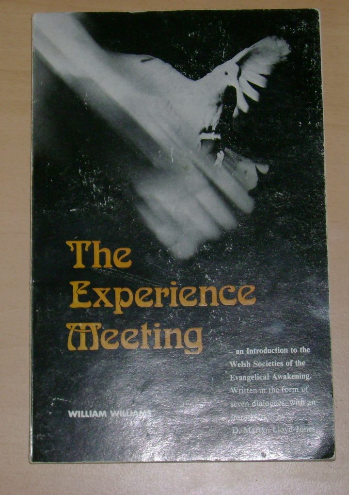 The Experience Meeting: Dialogue 2 (pp13-21)
